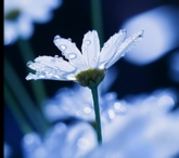 Galerie événements